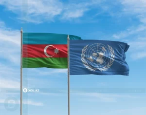 WDV4TdpPJ7U6T2lKuivqyGTxDMrPLW8DuN893CGo_1200