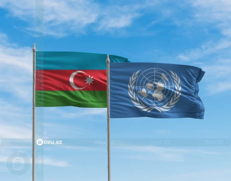 WDV4TdpPJ7U6T2lKuivqyGTxDMrPLW8DuN893CGo_1200